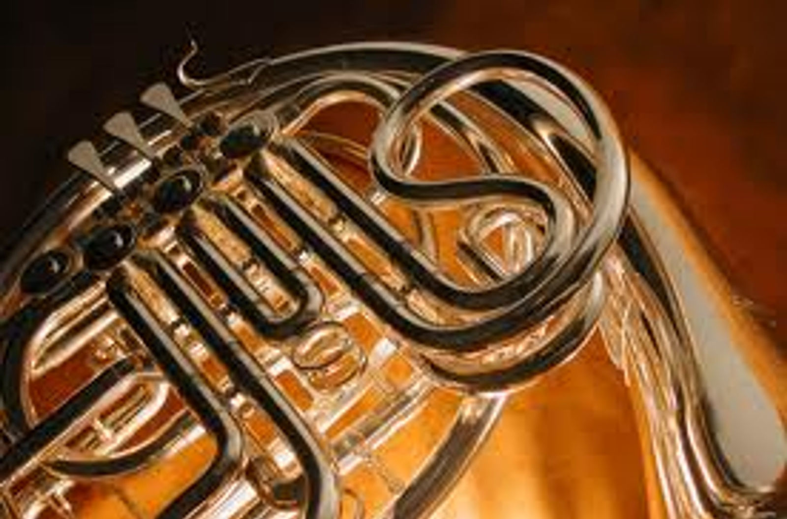 French Horn.jpg